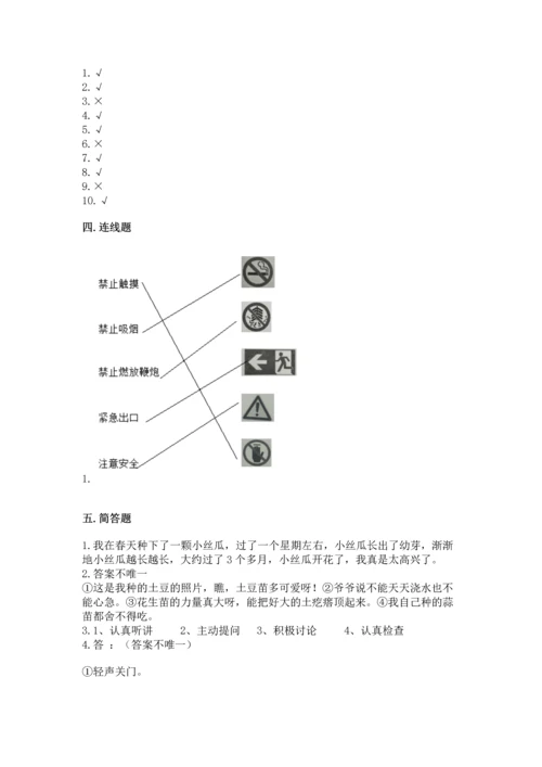 部编版二年级下册道德与法治 期末考试试卷【综合题】.docx