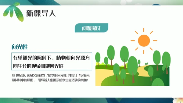 植物生长素的发现生物课件通用PPT模板