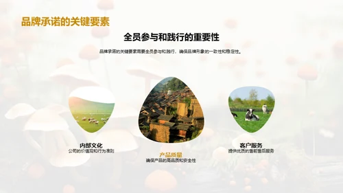 提升食用菌品牌力量