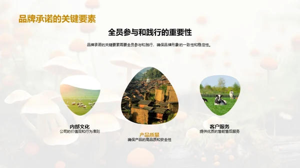 提升食用菌品牌力量