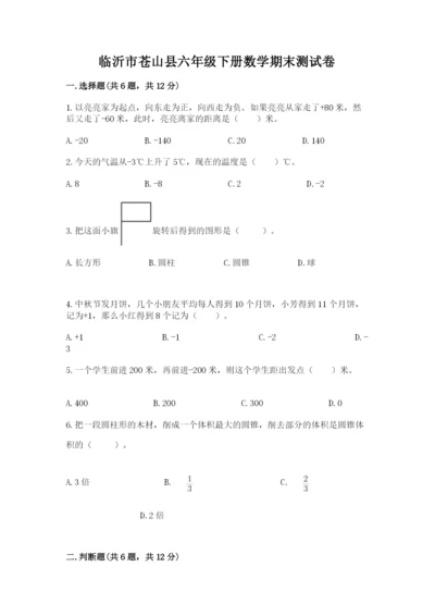 临沂市苍山县六年级下册数学期末测试卷精品加答案.docx