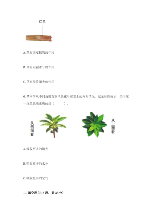 科学四年级下册第一单元《植物的生长变化》测试卷（培优a卷）.docx