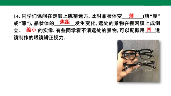 人教版八年级上册物理全章复习训练：5.6 章末综合（19页ppt）