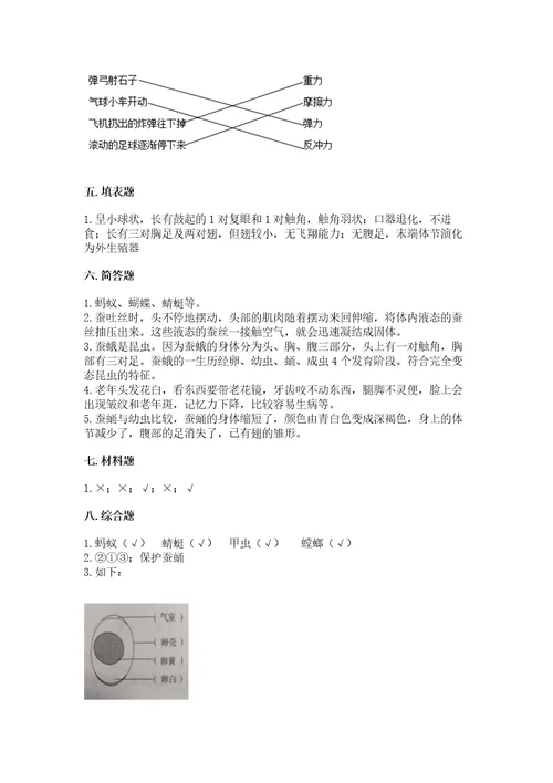 教科版科学三年级下册第二单元《动物的一生》测试卷wod版