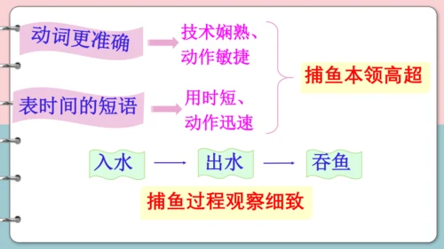 第15课《搭船的鸟》（第二课时）课件