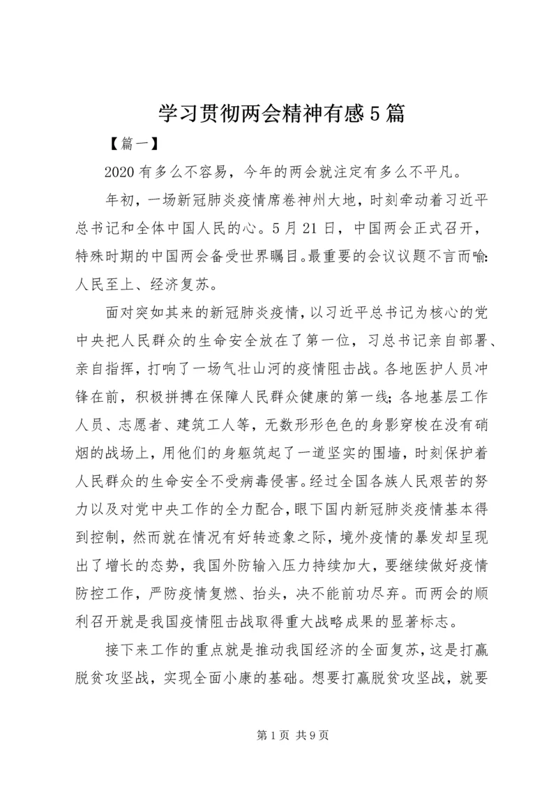 学习贯彻两会精神有感5篇.docx