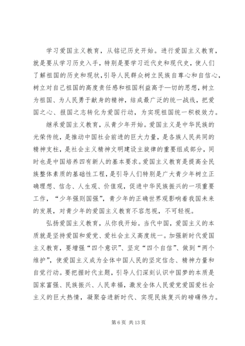 学习《新时代爱国主义教育实施纲要》心得体会六篇.docx