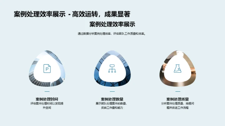 律师年度工作综述