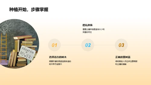 掌握树木成长秘籍