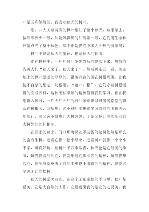 描写枫叶的作文.docx