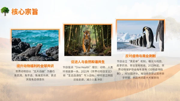 橙色世界动物日志愿者科普PPT模板