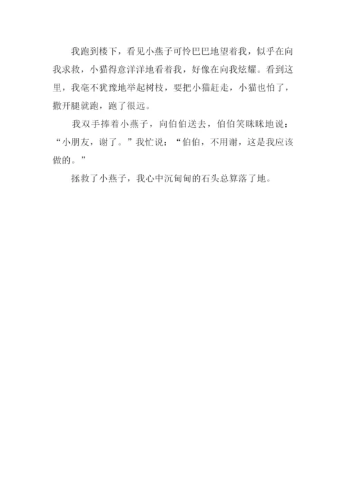 拯救小燕子作文400字.docx