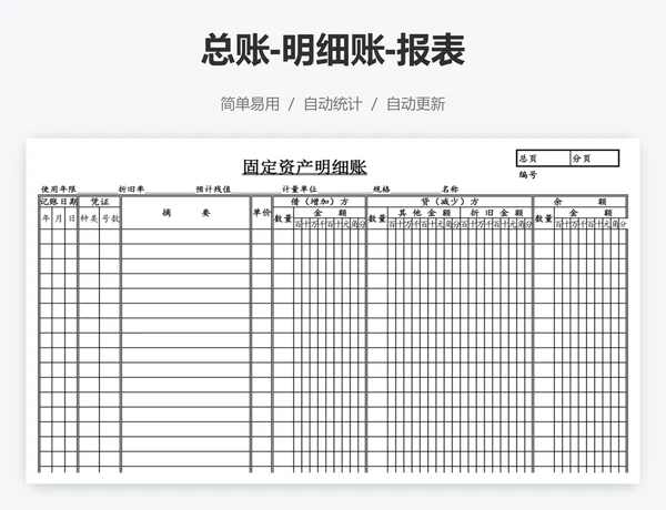 总账-明细账-报表