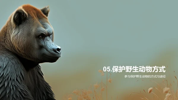 简约风其他行业教学课件PPT模板
