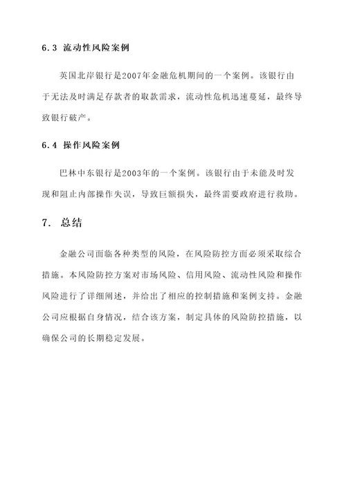 金融公司风险防控方案