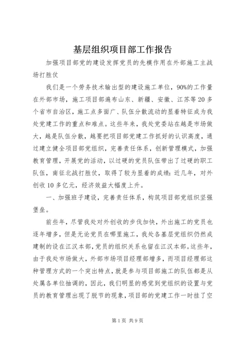 基层组织项目部工作报告.docx