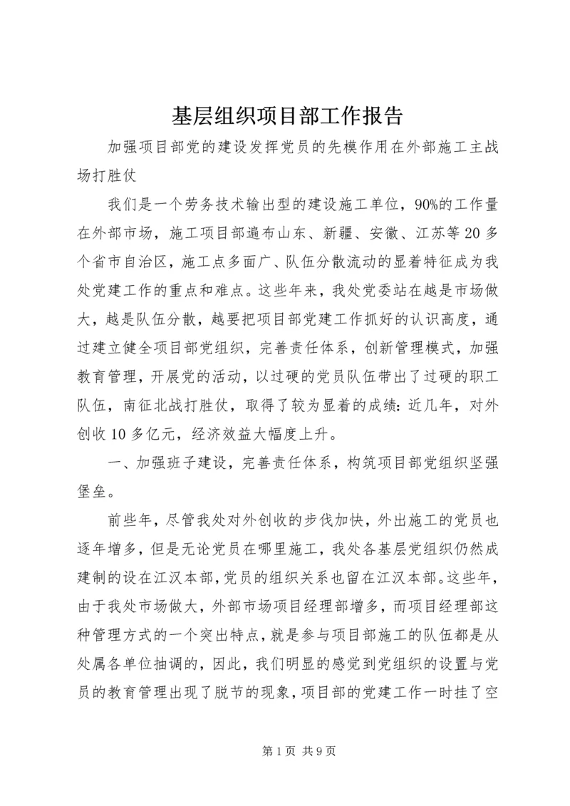 基层组织项目部工作报告.docx