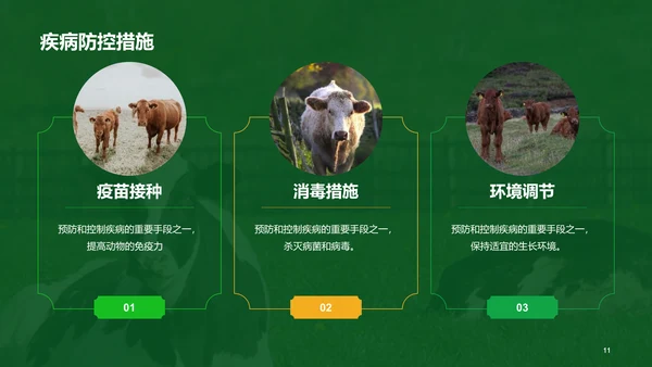 绿色现代养殖流程管理与疾病预防PPT模板