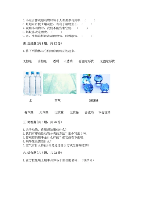 教科版一年级下册科学期末测试卷附答案【研优卷】.docx