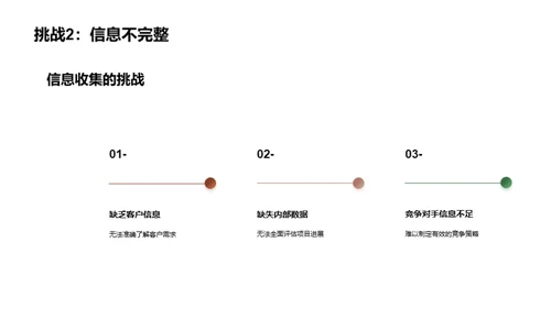 商务之路：挑战与突破