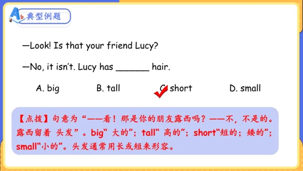 Unit 9 What does he look like单元复习课件（词组+句型+知识点+语法+写