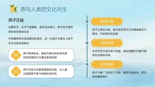 蓝绿黄色中国风白露节气PPT模板