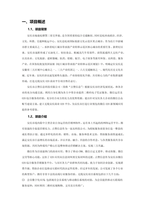 无线安庆项目立项可行性研究报告.docx