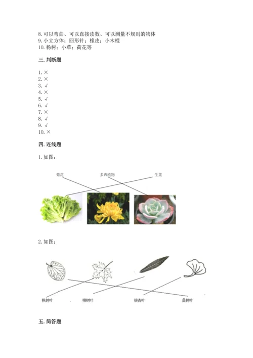 教科版一年级上册科学期末测试卷及答案解析.docx