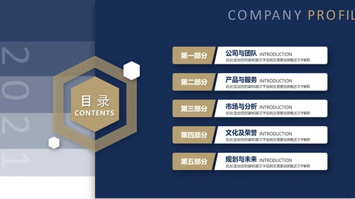 大气的商务风公司介绍PPT模板
