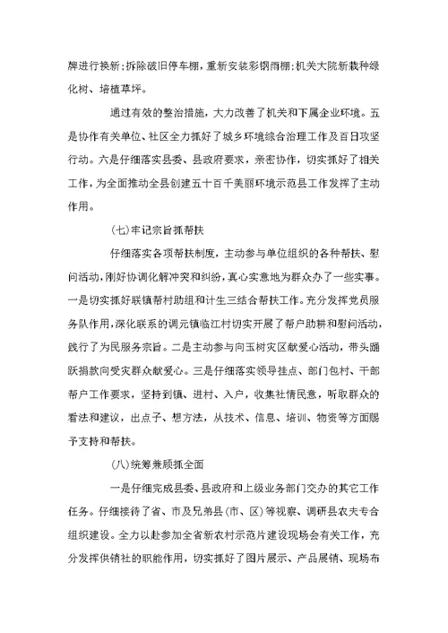 供销社党组书记述职报告