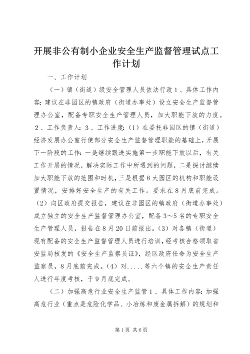 开展非公有制小企业安全生产监督管理试点工作计划_1.docx