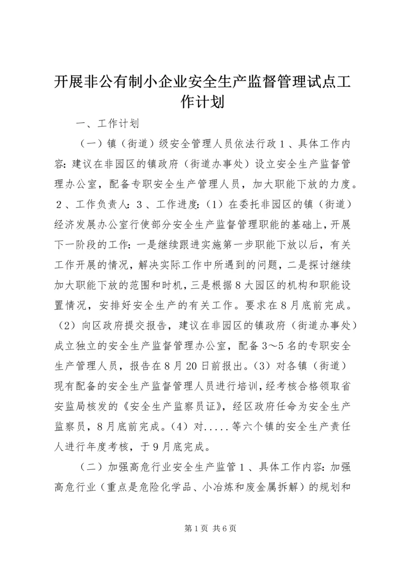 开展非公有制小企业安全生产监督管理试点工作计划_1.docx