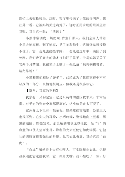 我家的小狗作文450字-1.docx