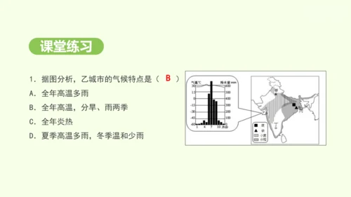 8.3 印度（课件35张）-2024-2025学年七年级地理下学期人教版(2024)