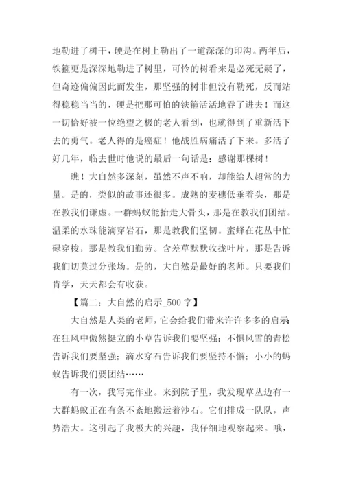 有关大自然启示的作文.docx