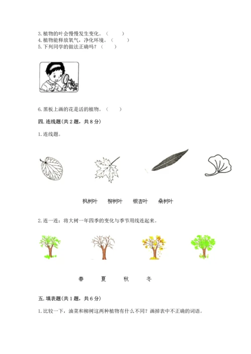 教科版科学一年级上册第一单元《植物》测试卷（历年真题）.docx