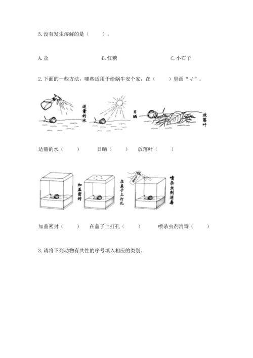 教科版一年级下册科学期末测试卷【中心小学】.docx