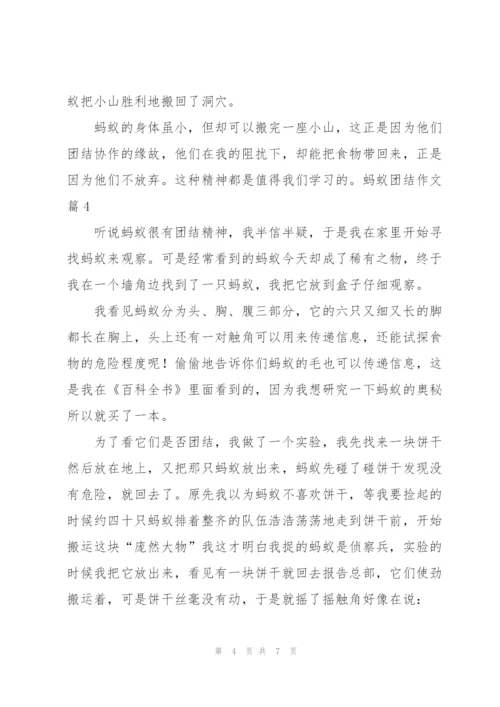 实用的蚂蚁团结作文六篇范文.docx