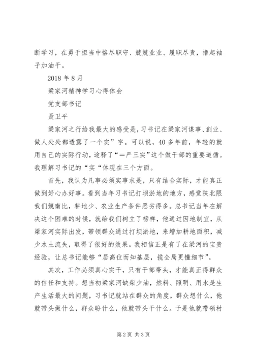 学习梁家河精神材料_1 (2).docx