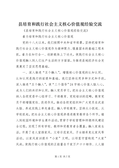 县培育和践行社会主义核心价值观经验交流.docx