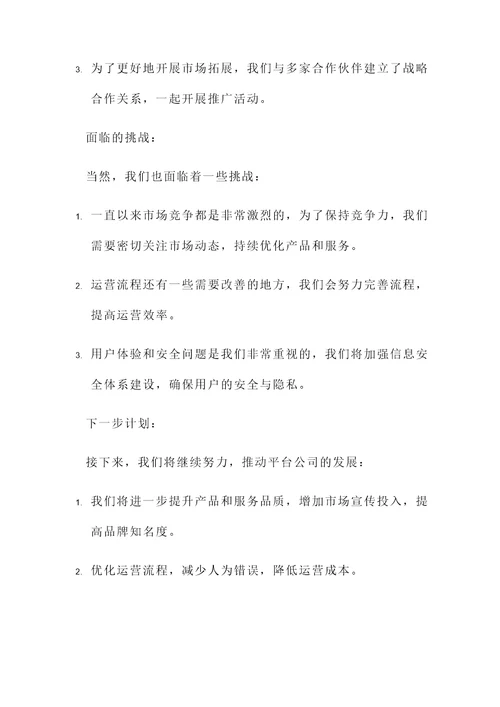 关于平台公司组建运营情况汇报