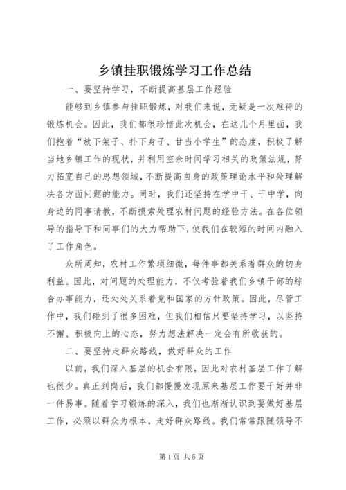 乡镇挂职锻炼学习工作总结.docx