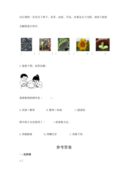 教科版科学一年级上册第一单元《植物》测试卷精品（能力提升）.docx
