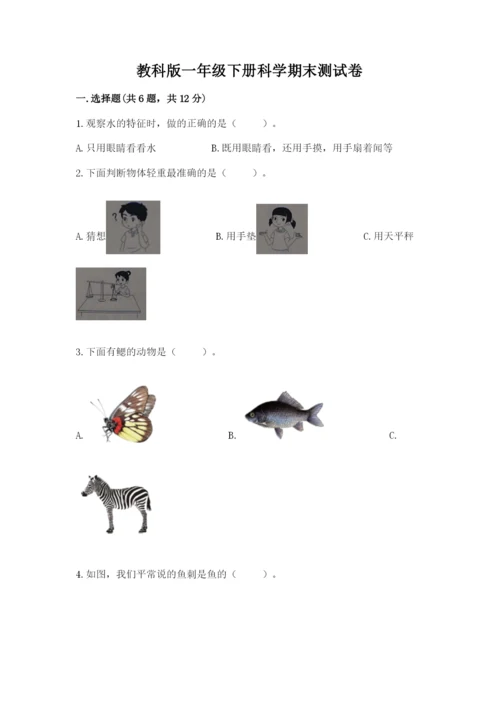 教科版一年级下册科学期末测试卷含完整答案（历年真题）.docx