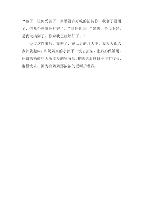 奶奶的爱作文1200字.docx