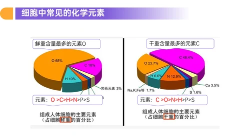 人教版高中生物细胞元素化合物PPT课件