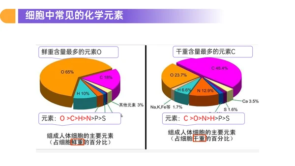 人教版高中生物细胞元素化合物PPT课件