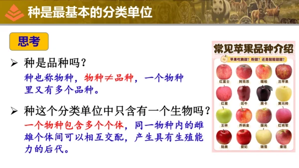 人教版生物七年级上册2.4.2《从种到界》（教学课件）(共16张PPT)
