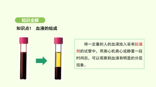 第四单元-第四章-第一节-流动的组织——血液课件-2024-2025学年七年级生物下学期人教版(20