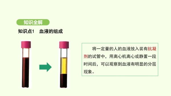 第四单元-第四章-第一节-流动的组织——血液课件-2024-2025学年七年级生物下学期人教版(20